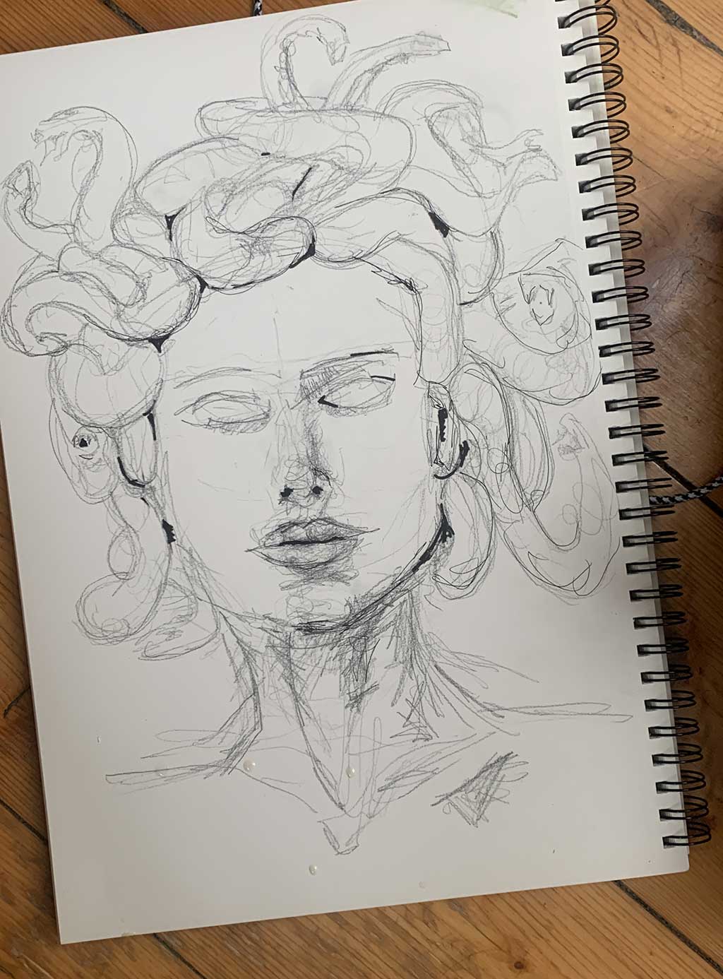 Mediation Medusa — image 01