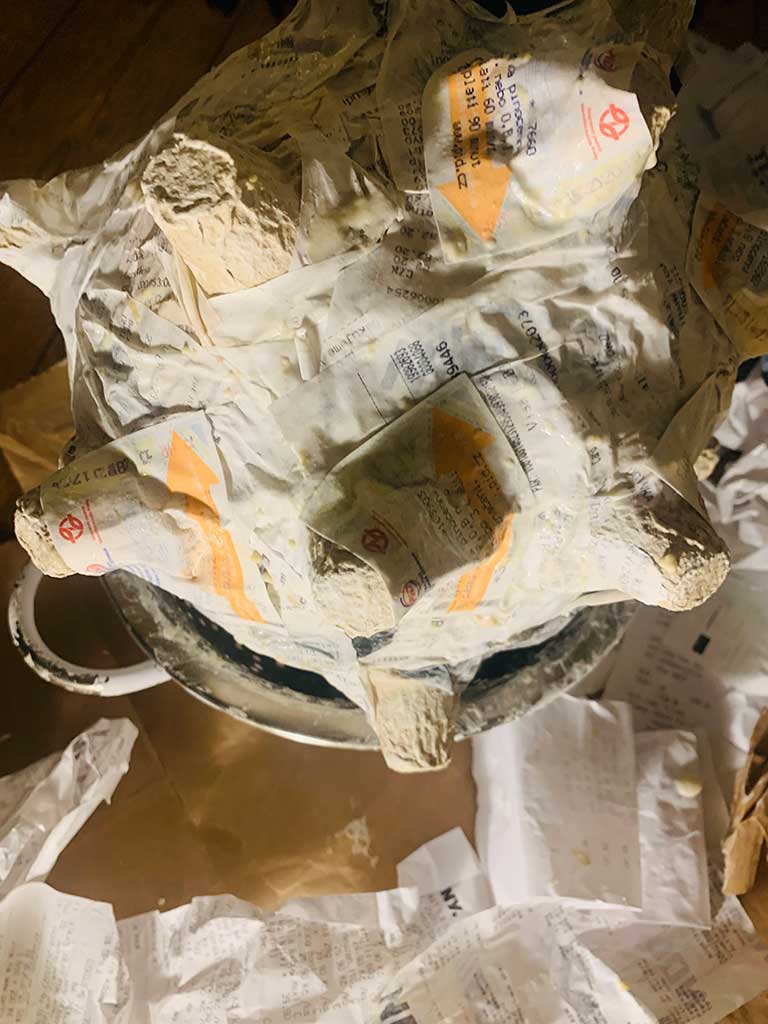 Mediation Medusa — image 01