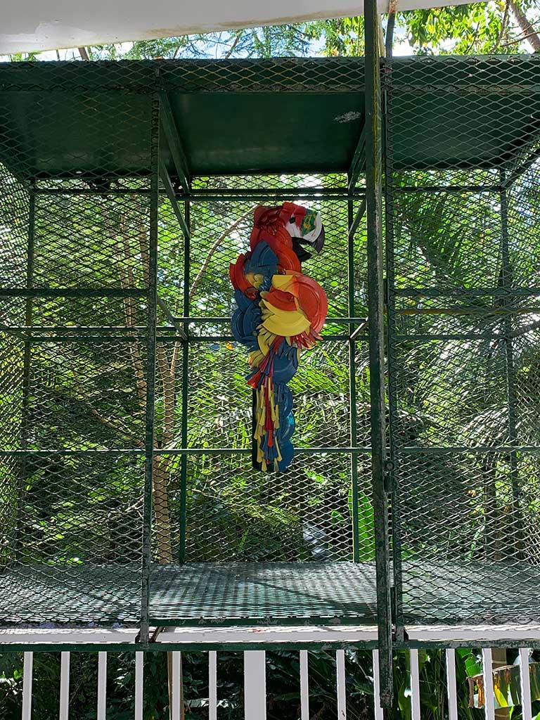 Mediation Medusa — image 03